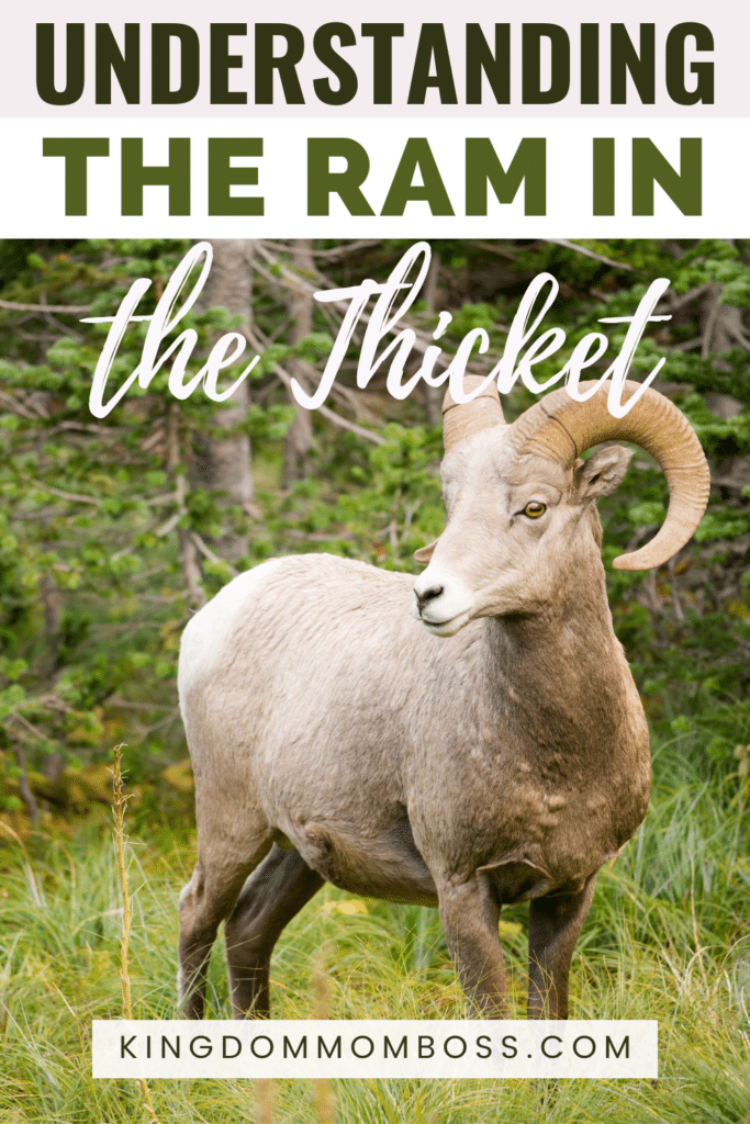 Picture of a ram with "Understanding the Ram in the Thicket." at the top. Website: kingdommomboss.com