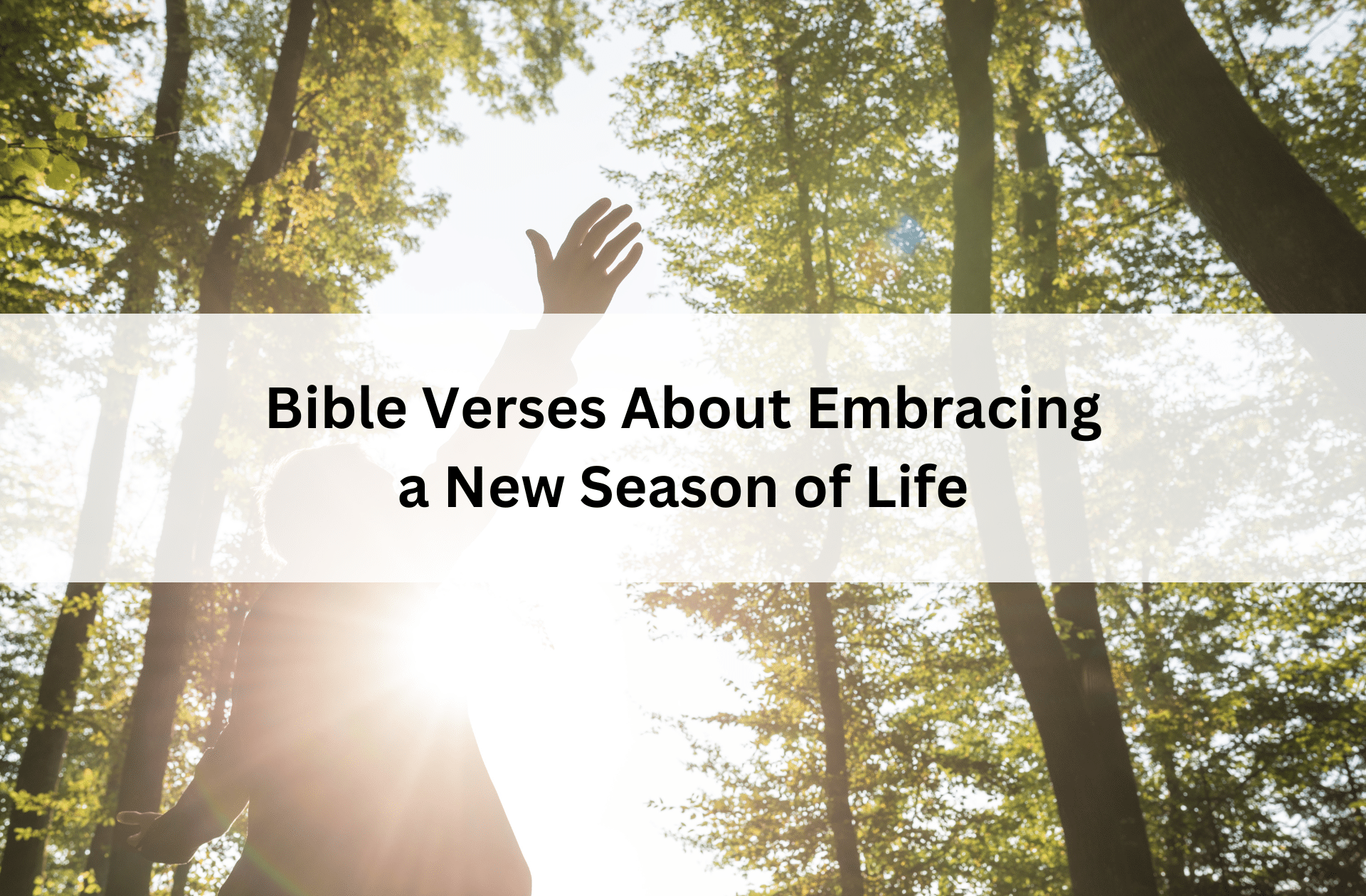 Person standing in a sunlit forest with arm raised in worship, with text overlay: “Bible Verses About Embracing a New Season of Life.”